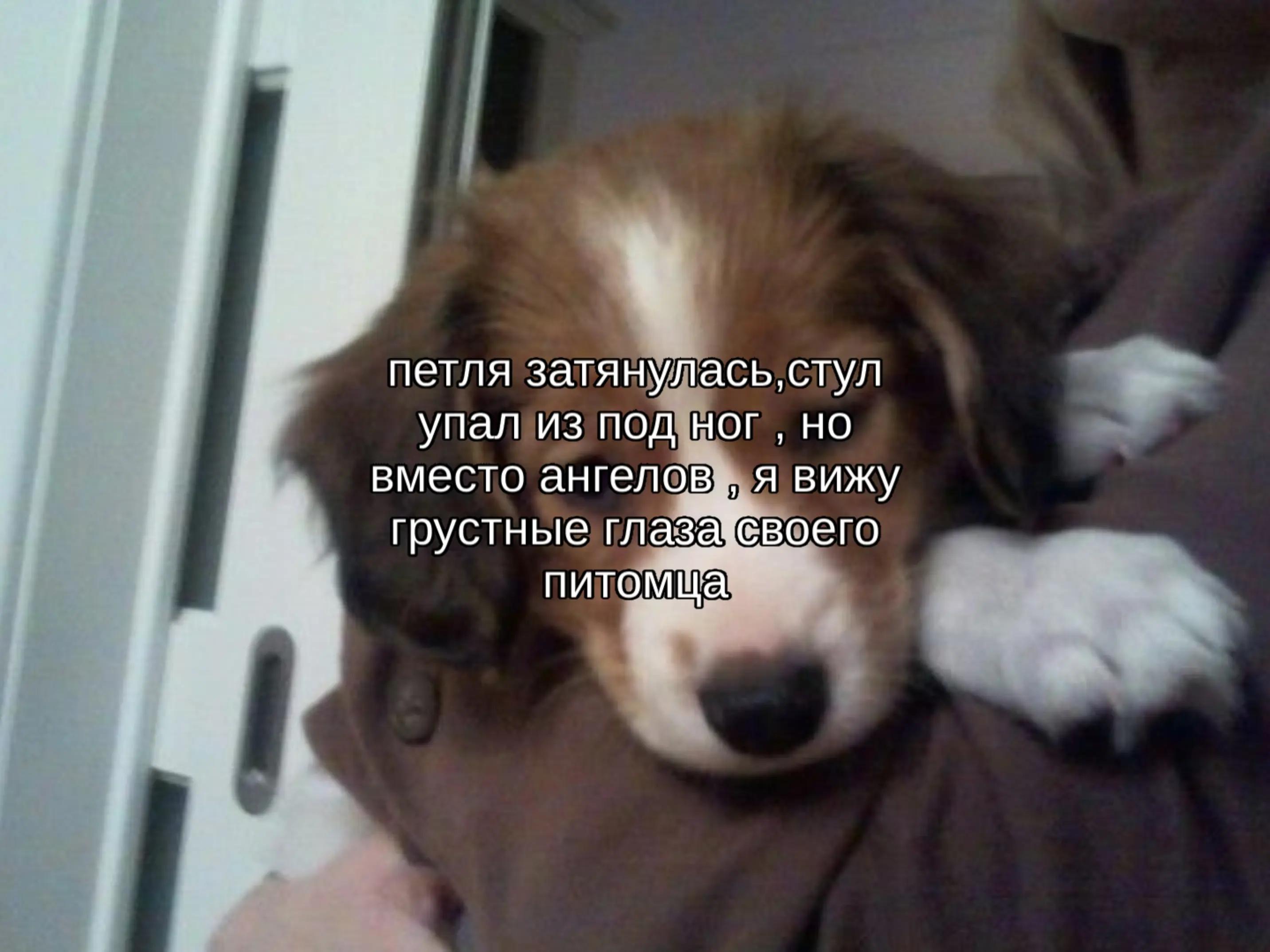 @Рикуся