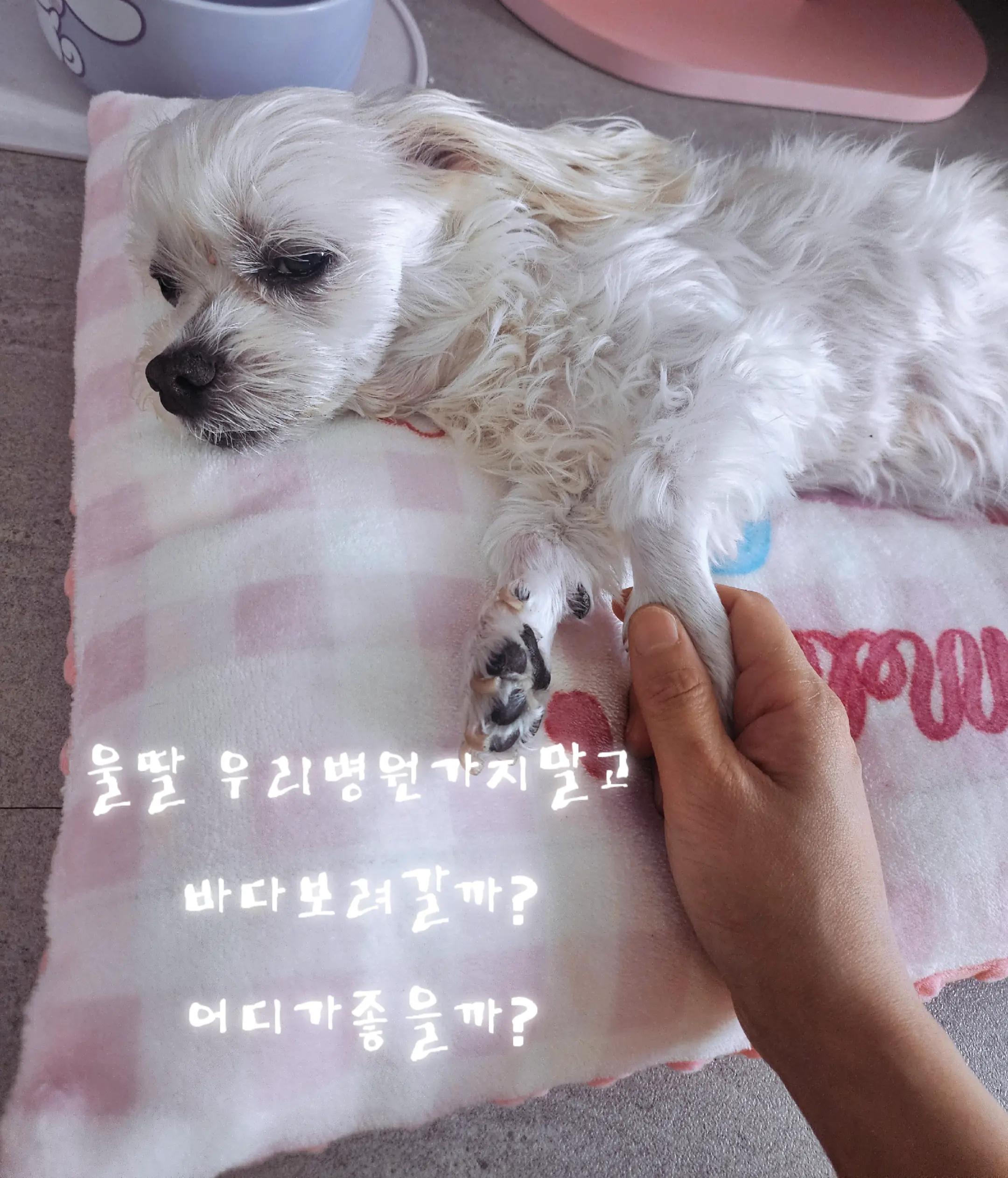 @아콩맘♡