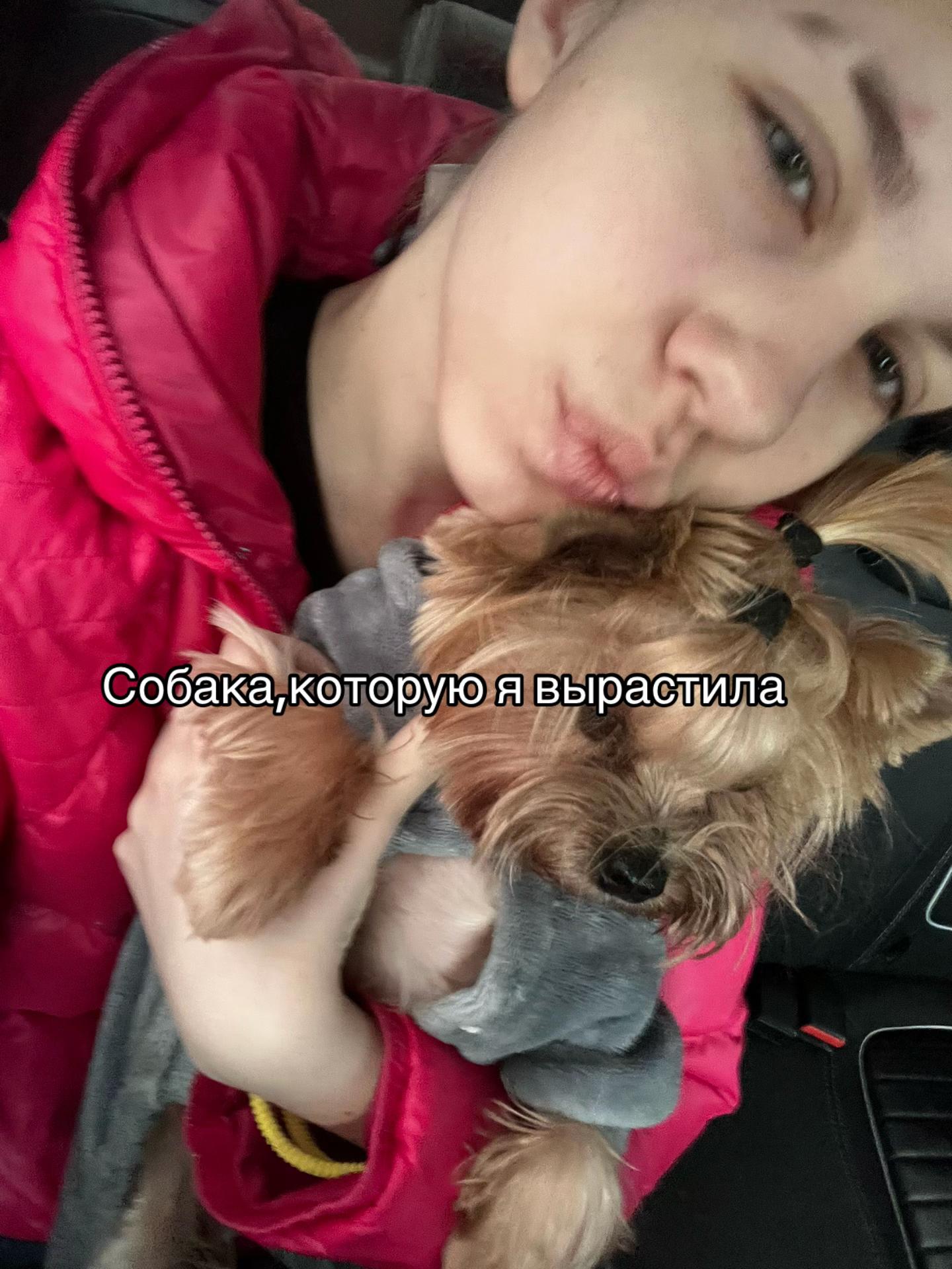 @овсянка