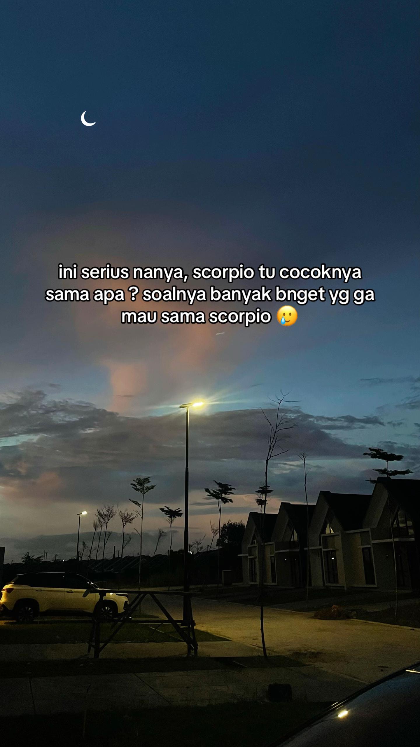 @shiineylaa