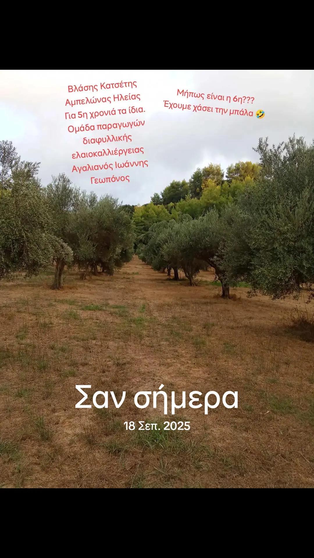 @Αγαλιανός Ιωάννης Γεωπόνος