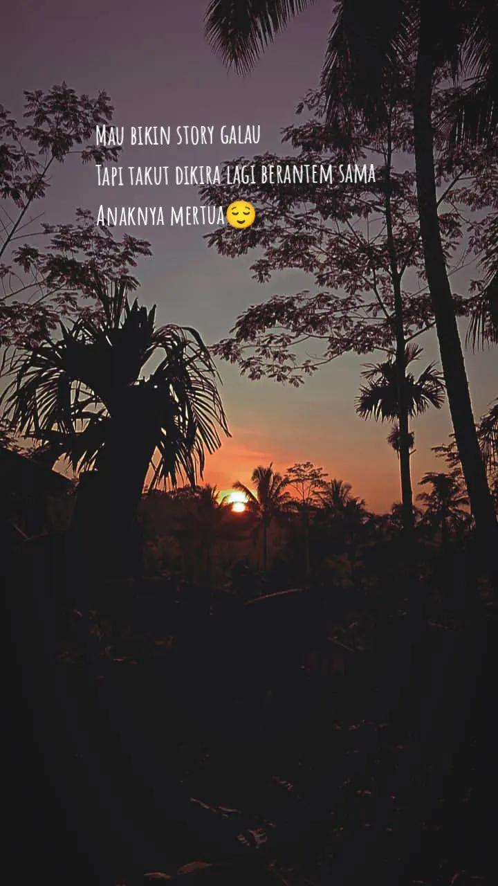 @Hanaaa🦋