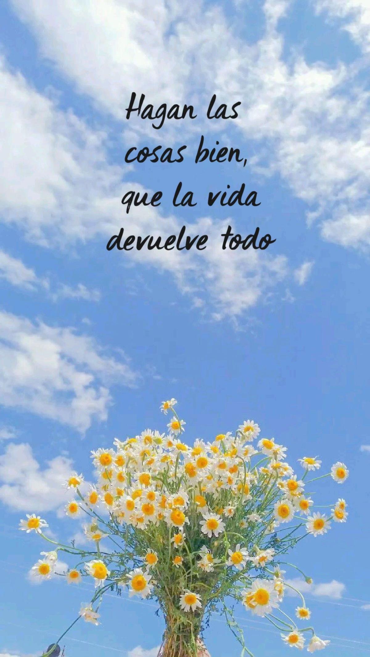 @Melanie Paredes