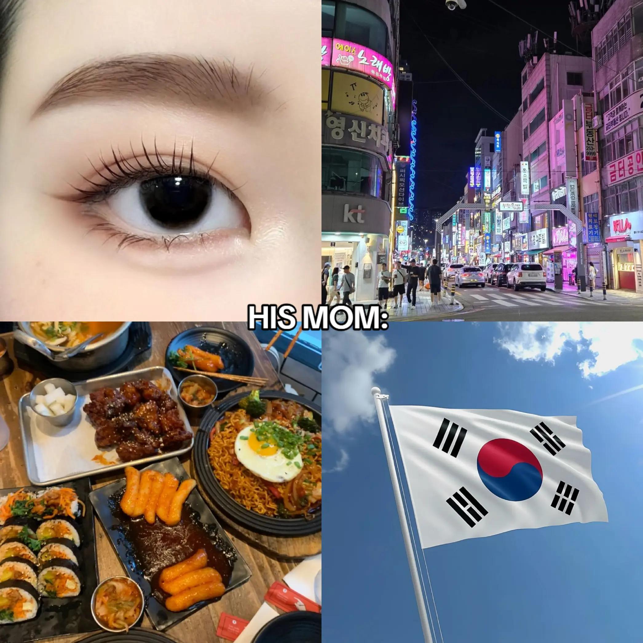 @✨한국