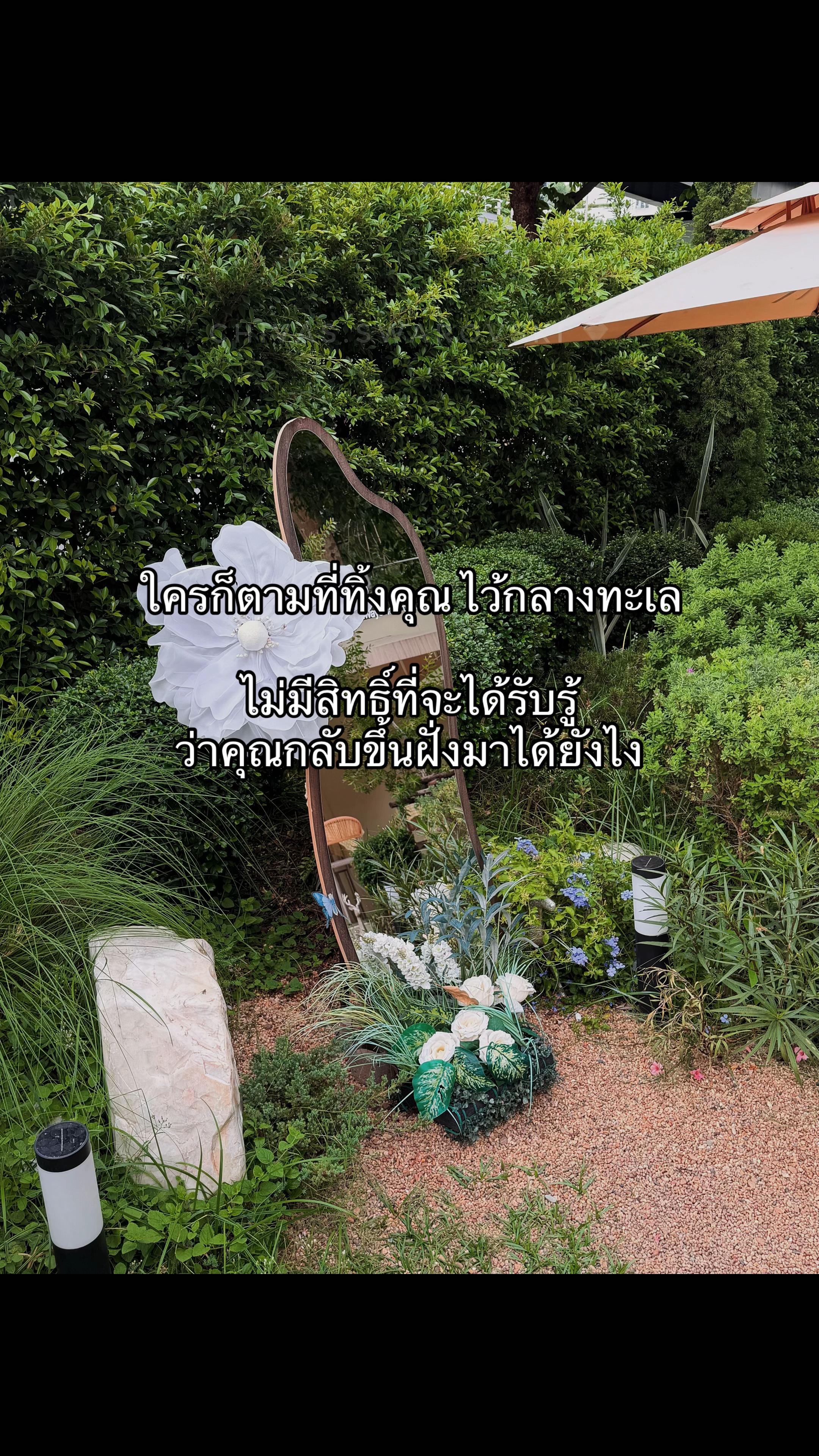 @ชีว๊าสส‘ส ชวาร็อฟกี้