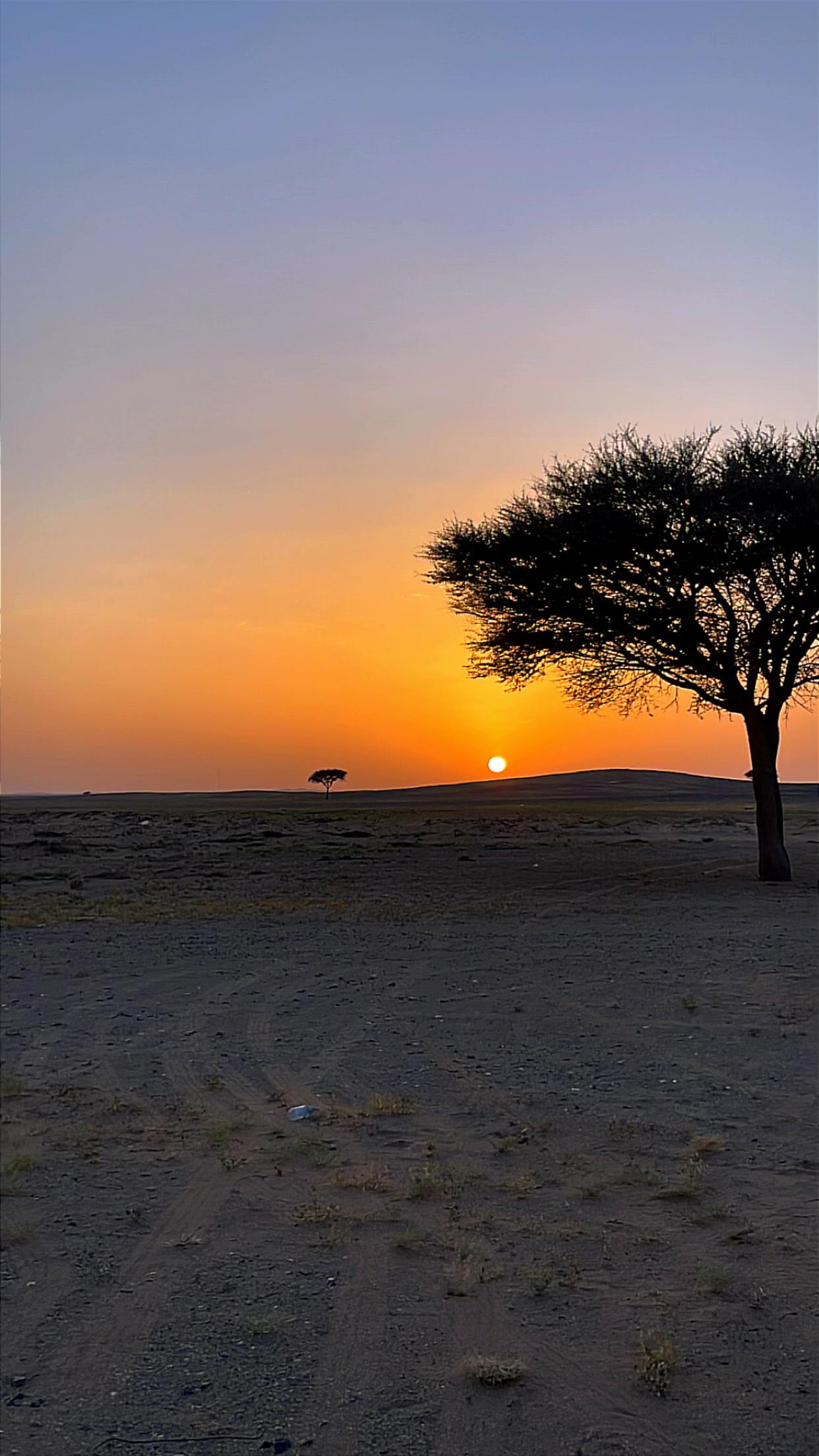 @(﮼صمت ﮼الجرو ح﮼)