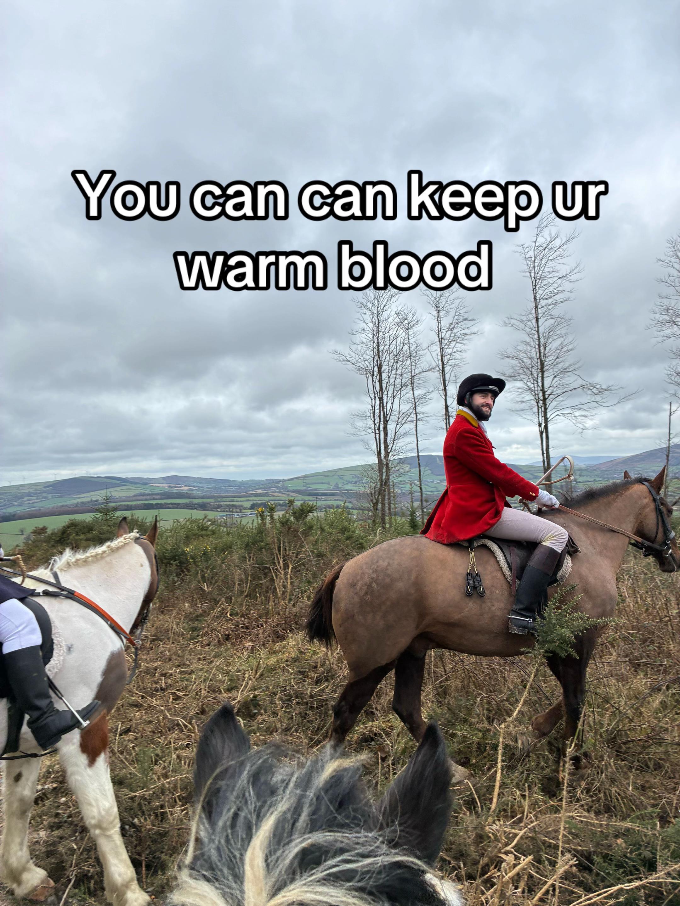 @Zara’spam🇮🇪🐴