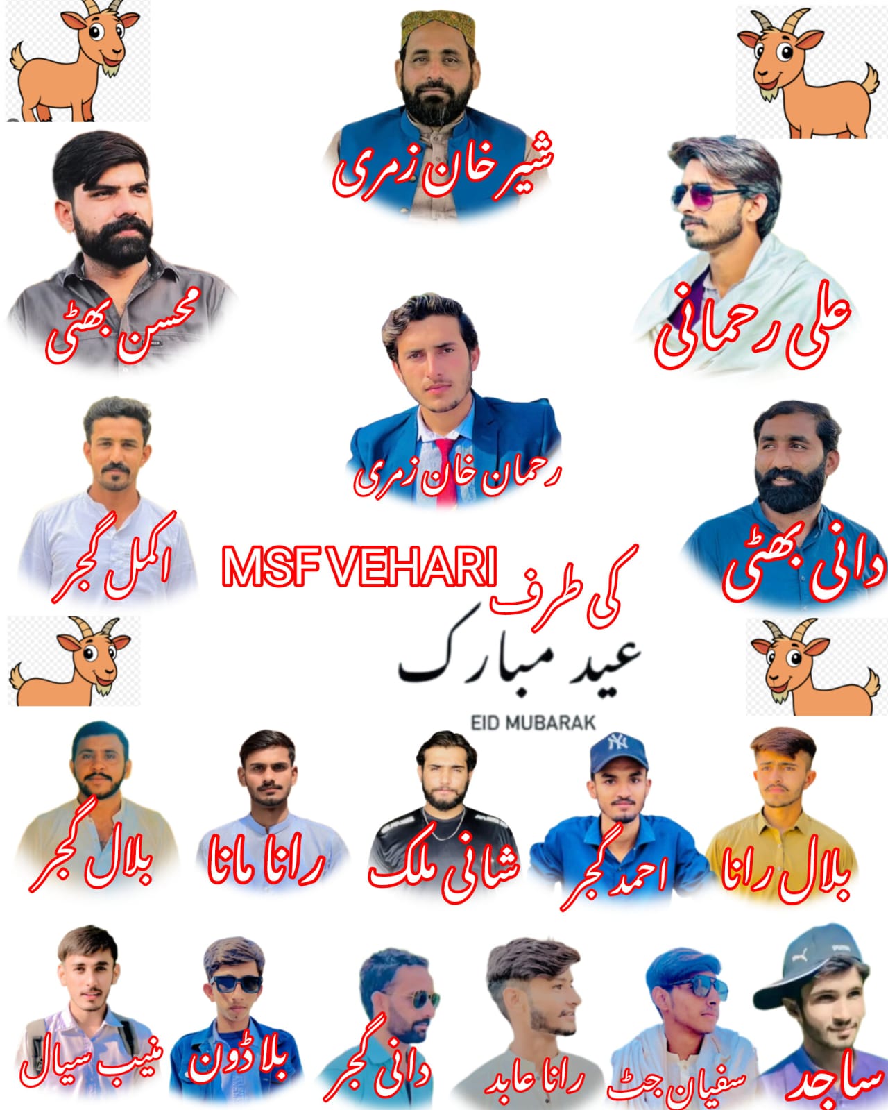@🚩 MSF degree college vehari🚩