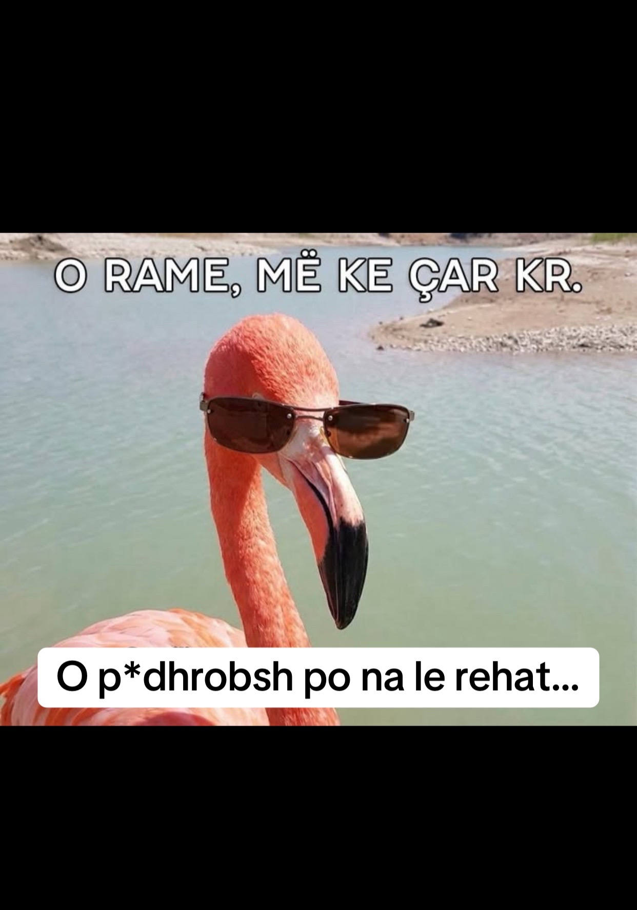 @Erald_01