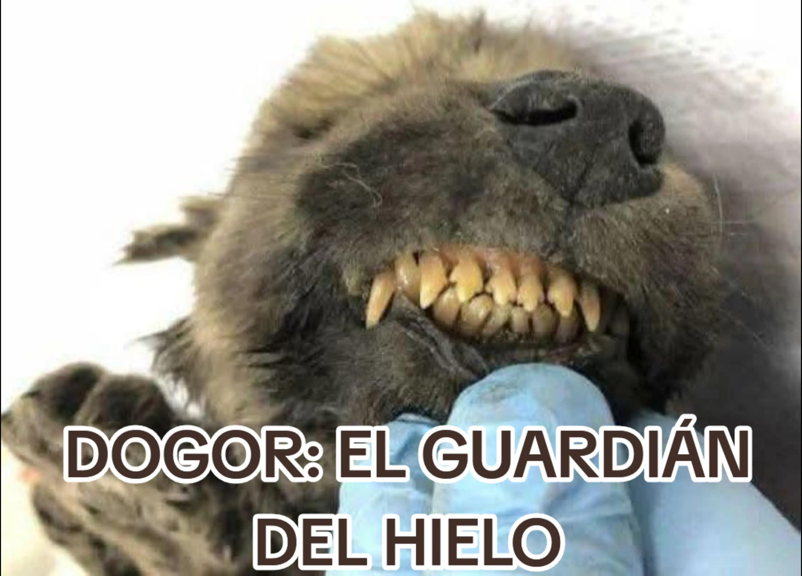 @María Druida Talis