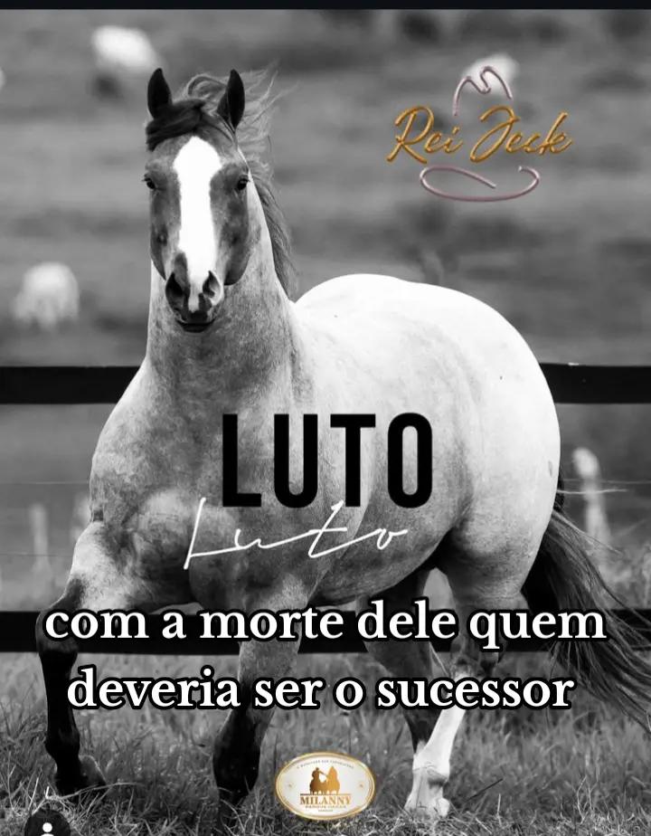 @Kauã Gabriel