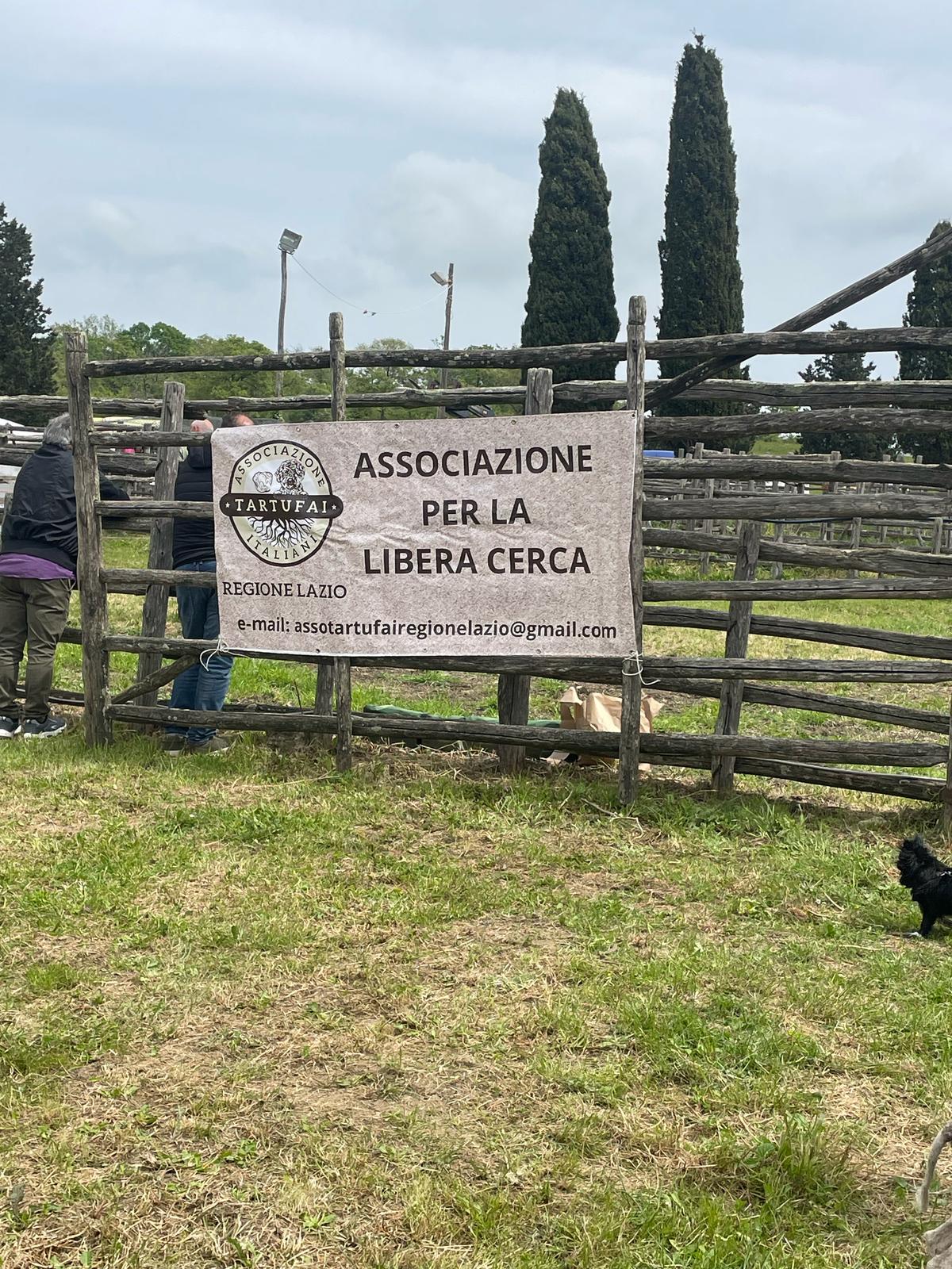 @Stefano Lombardo
