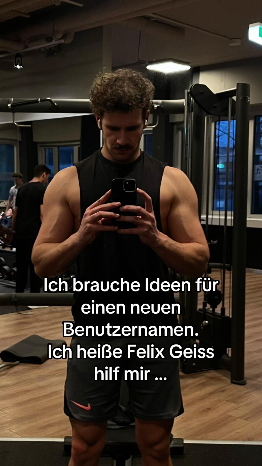 @flipsegeiss