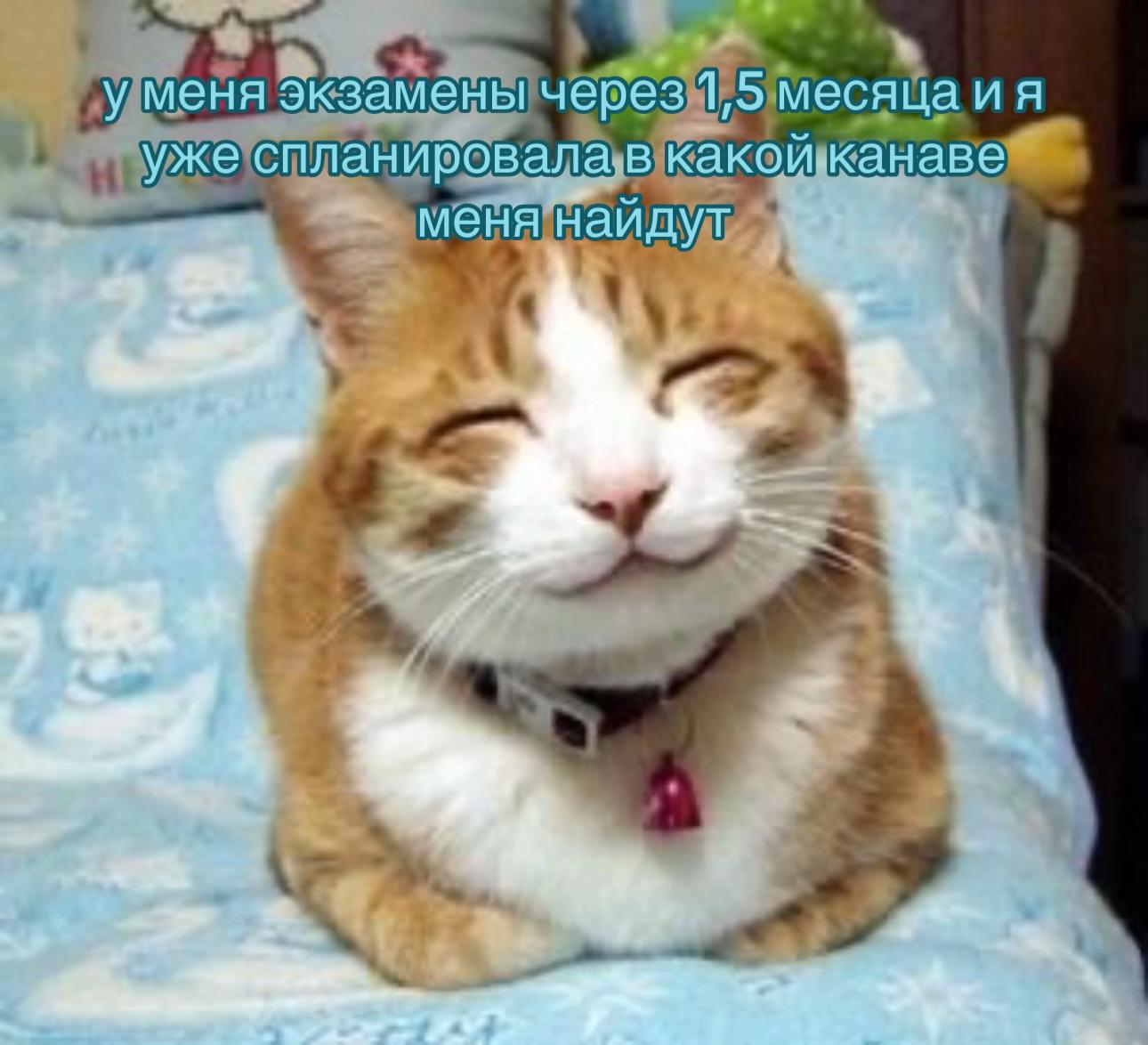 @(💣) - спайсрум