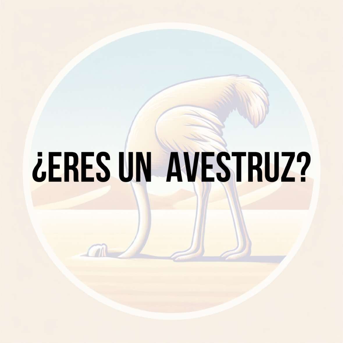 @elrincondelcambio_