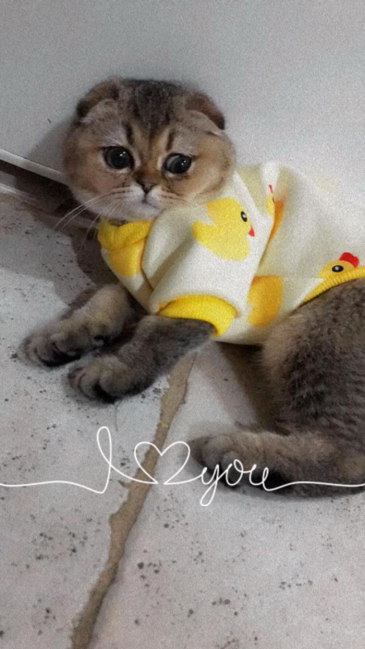 @kkkkkkkkkl
