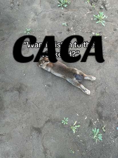@★ʚїɞִֶ