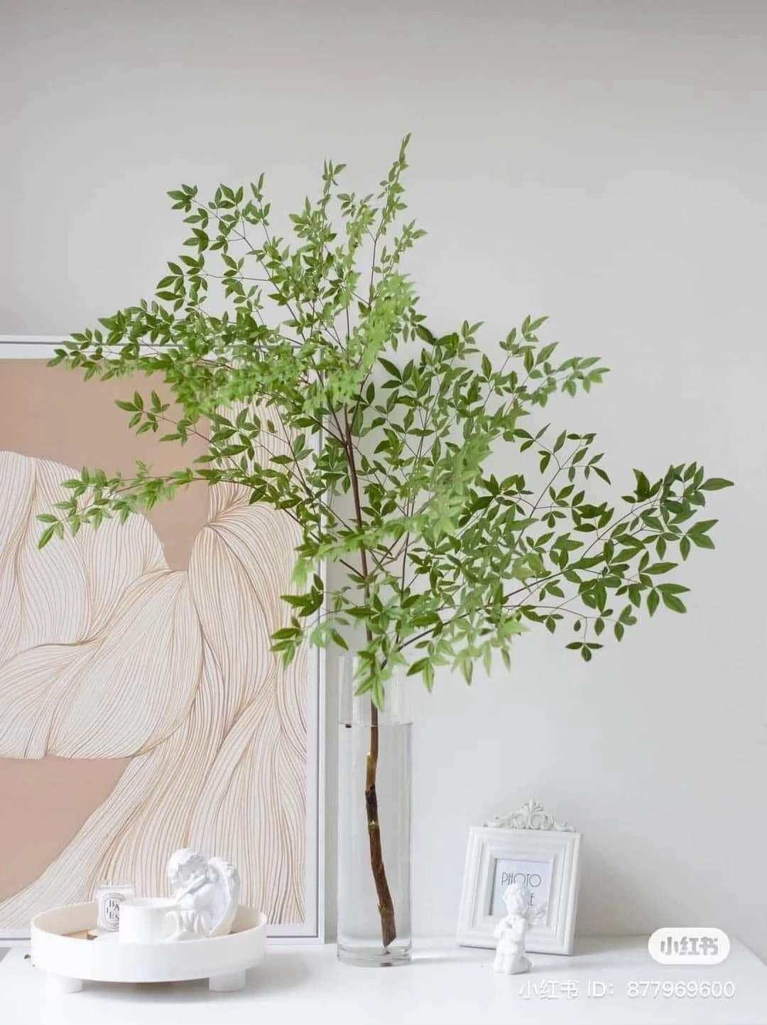 @Changchangtrang flower