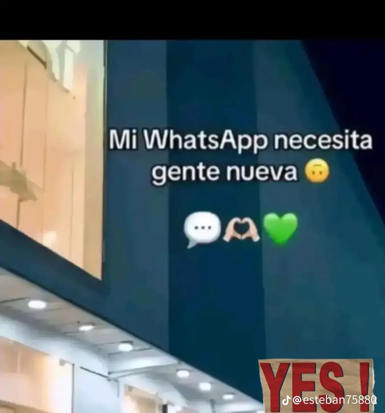 @Sara Peralta
