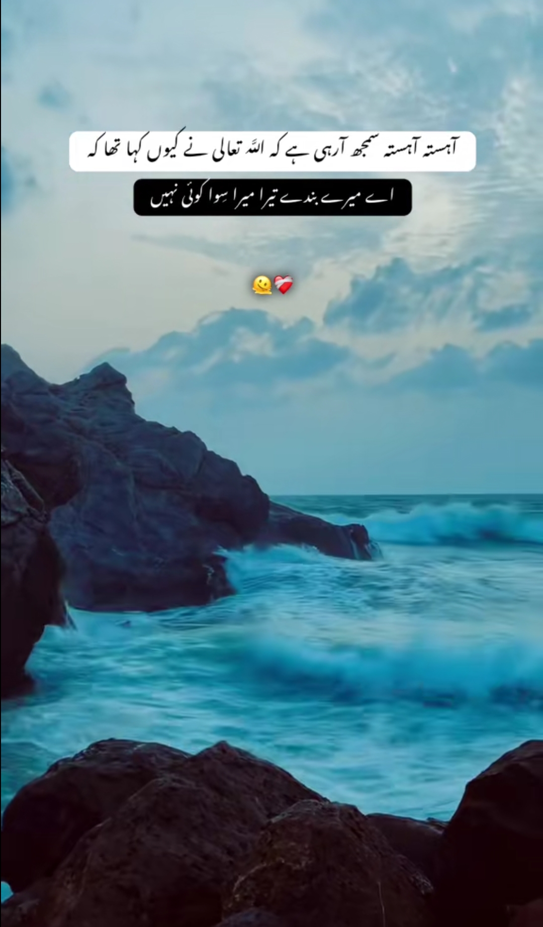 @💛حسیب⚡راجپوت💛