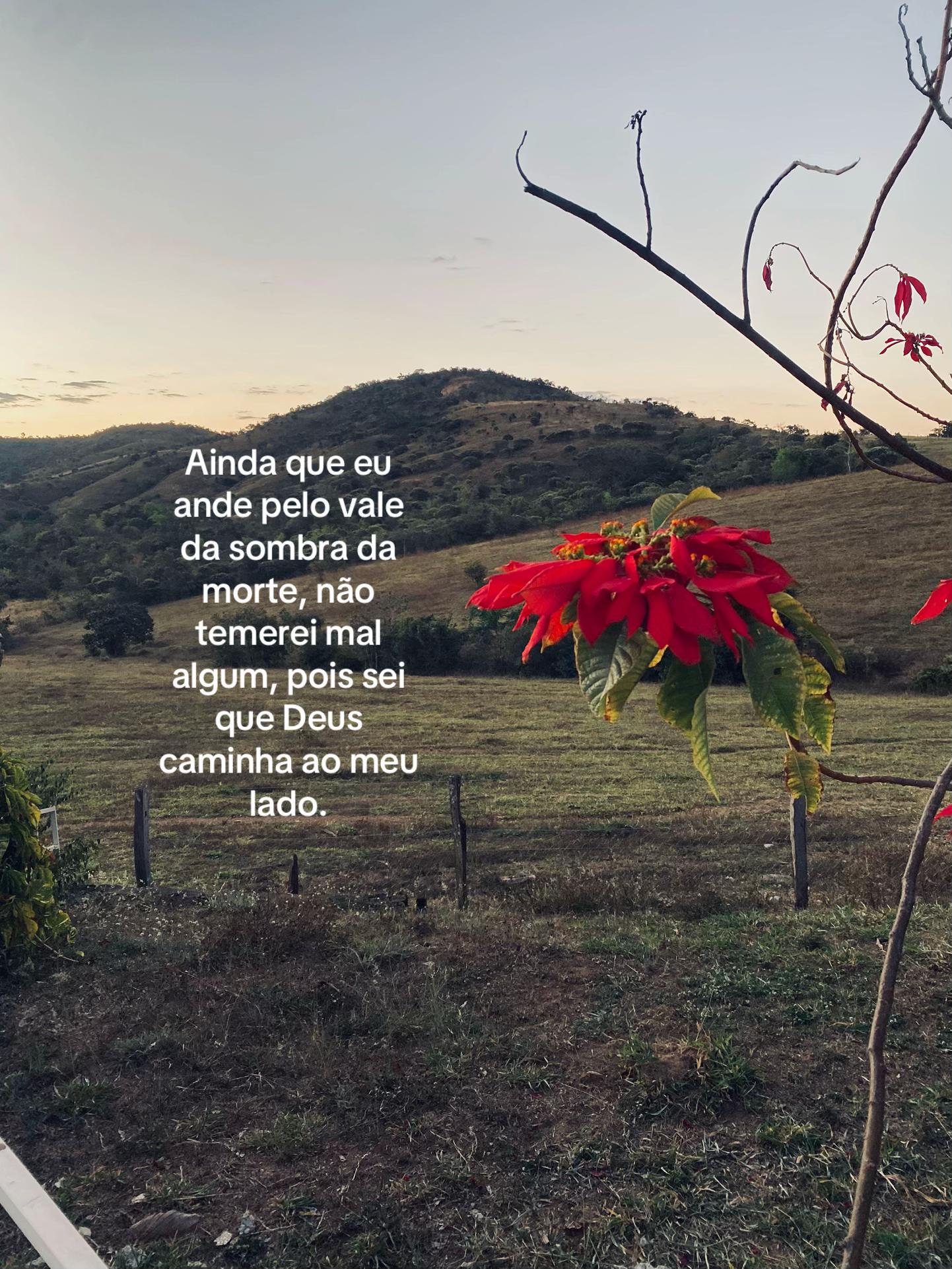 @Giulia v