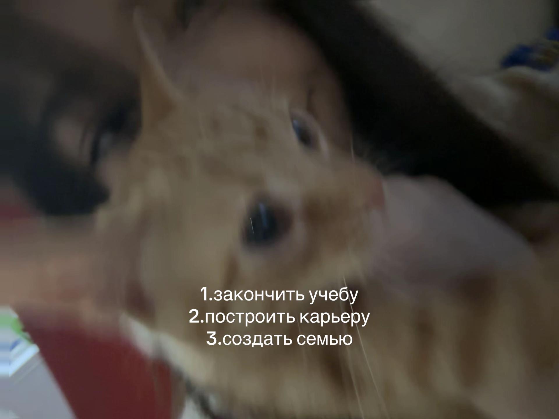 @tgk:annnastex.v