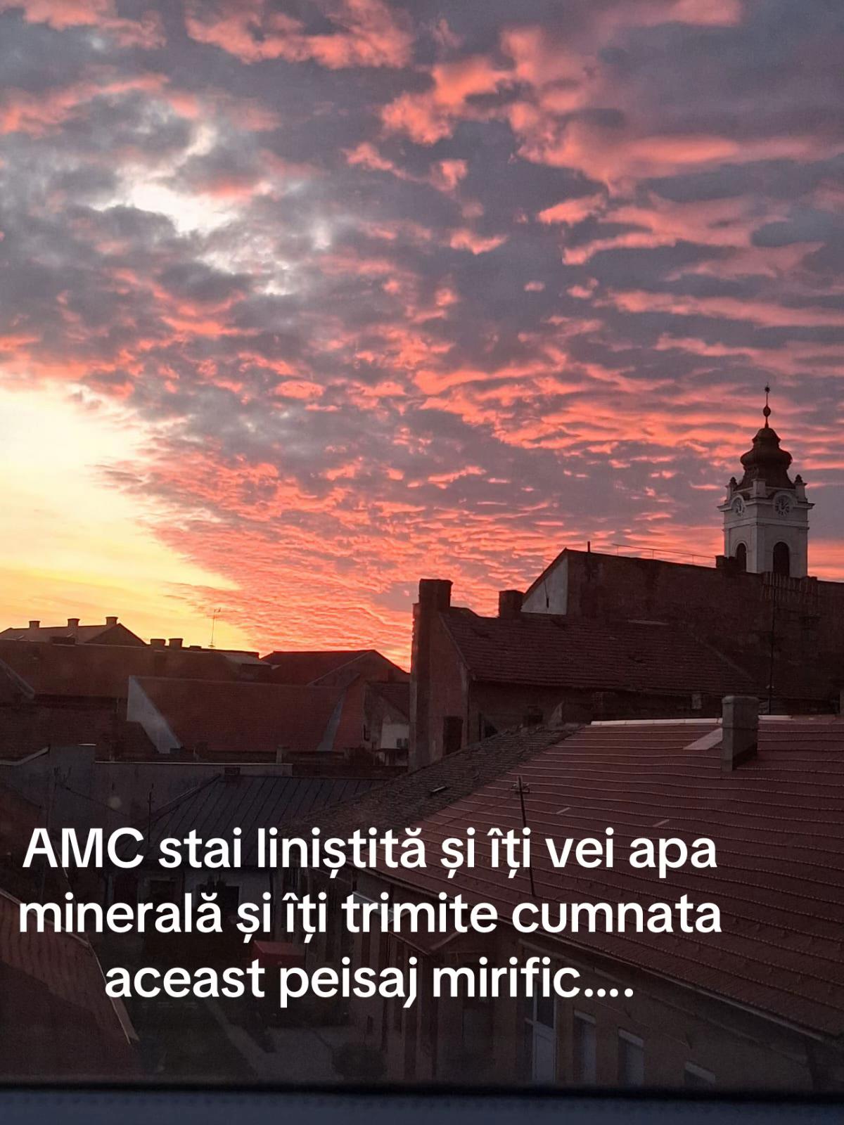 @Teo Somnea