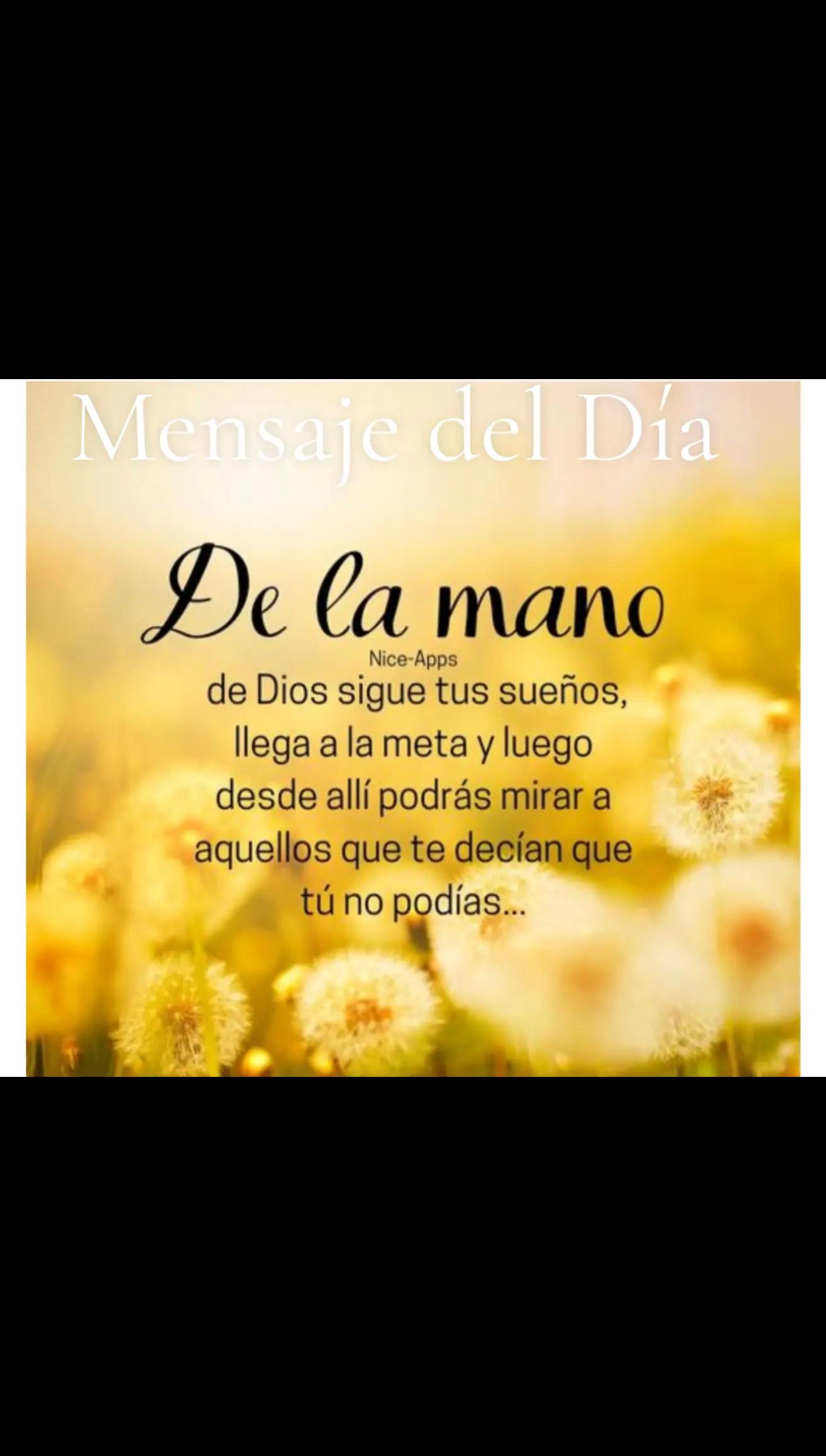 @LA VerdadLQUESEDICETV  Mvsegur