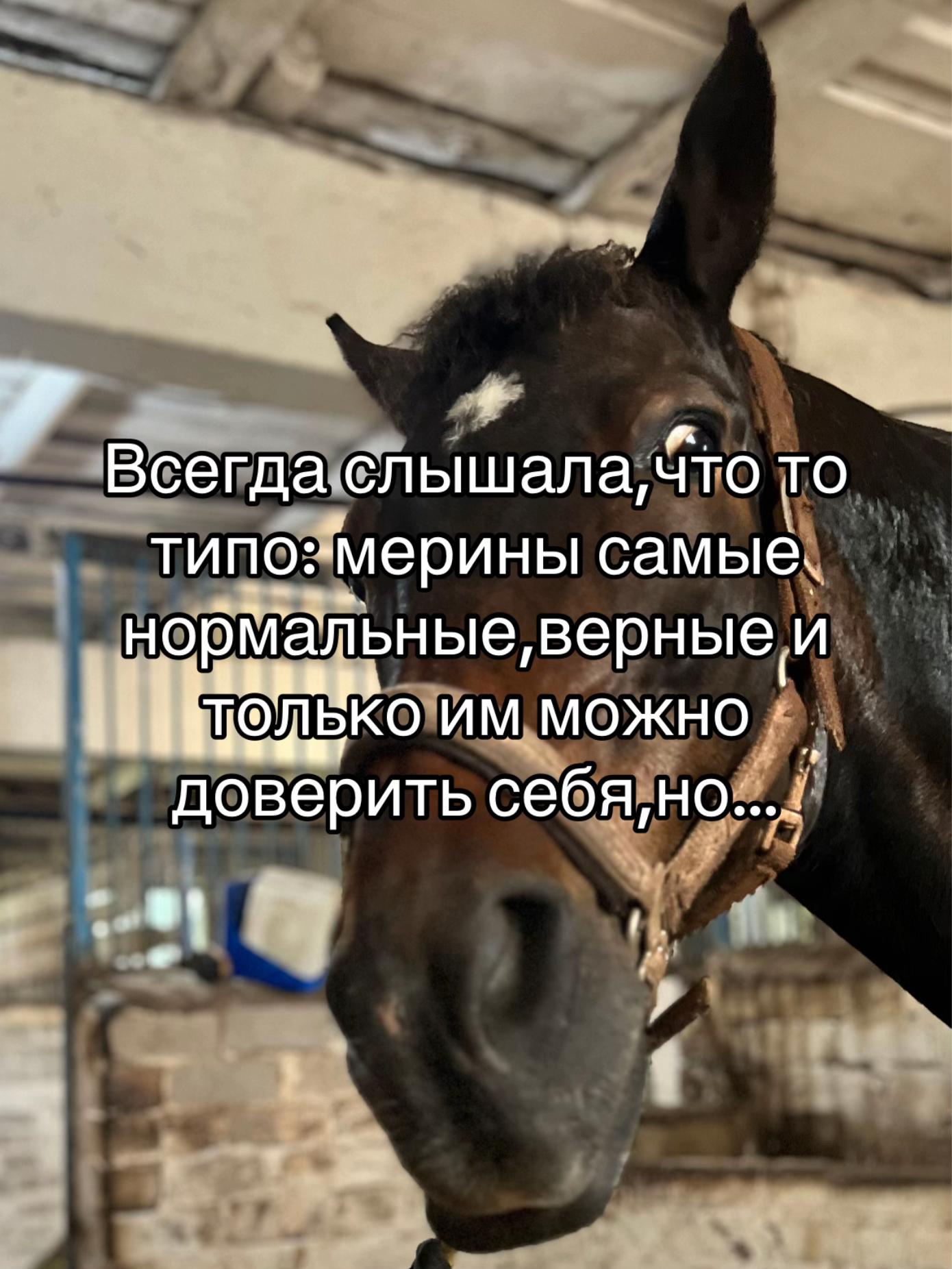 @Ли🐴