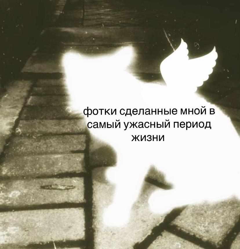 @cocsiqwp