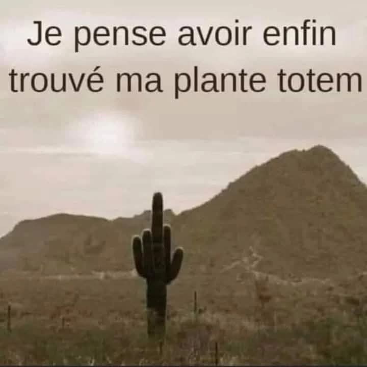 @gilet jaune 57