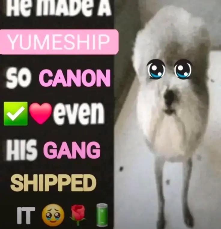@🍼 ♡ 𝚏𝚛𝚊𝚗𝚌𝚘𝚜𝚍𝚘𝚕𝚕