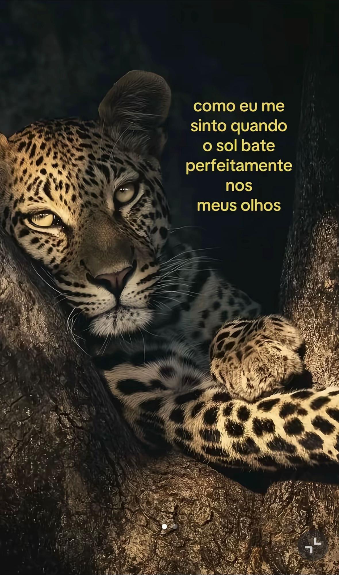 @Andres 🧡