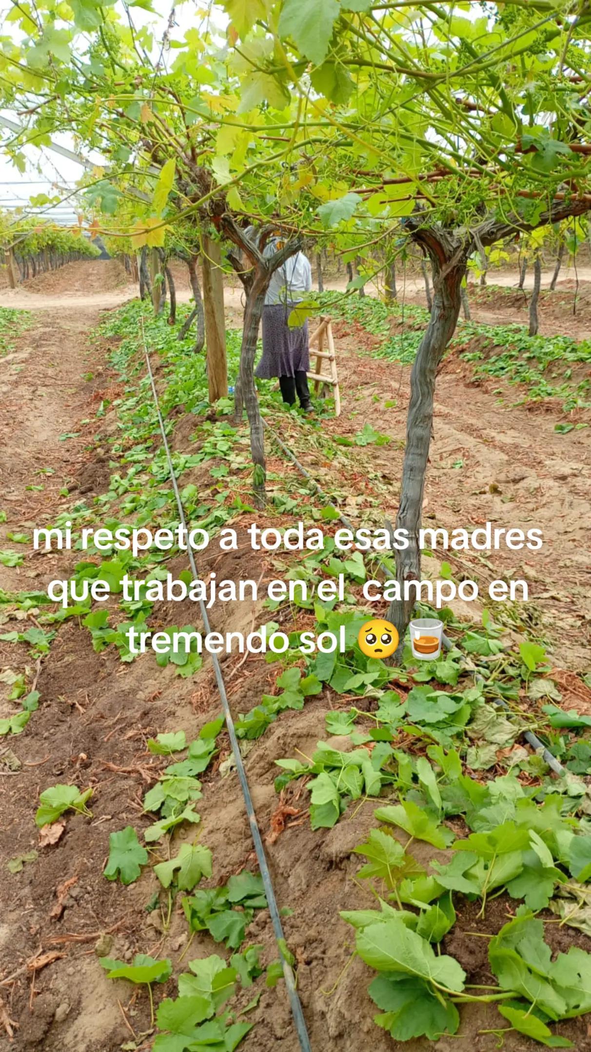 @Marleny Rojas