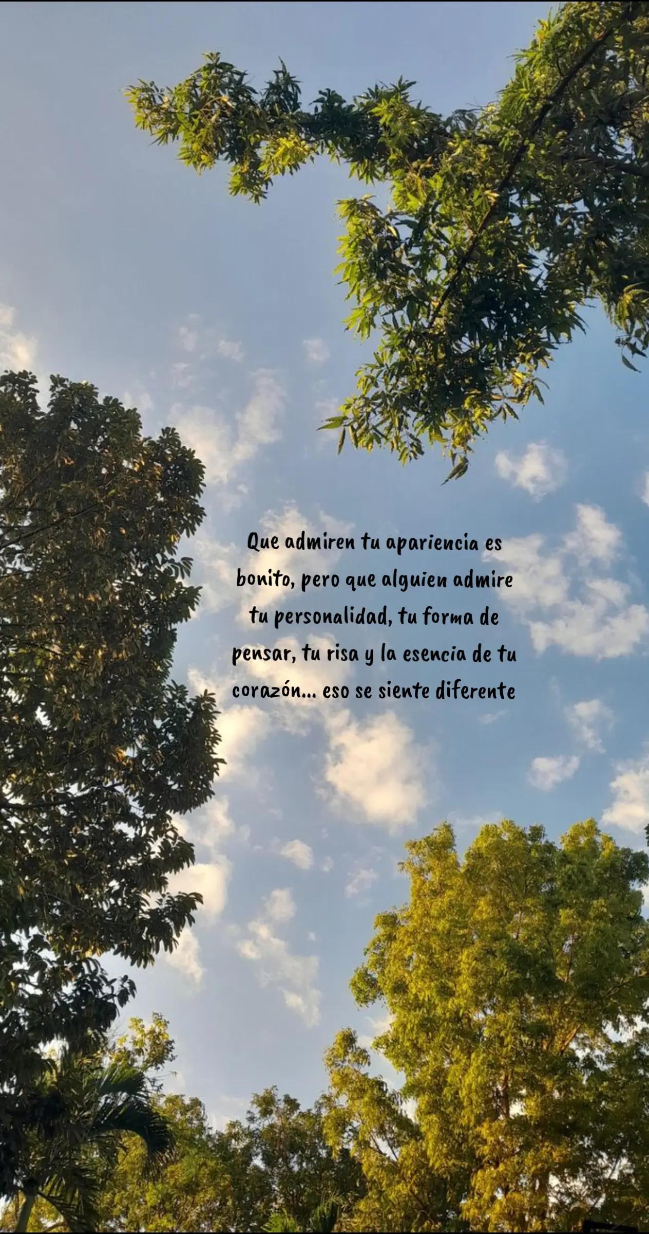 @GALLETITA🧃🥰