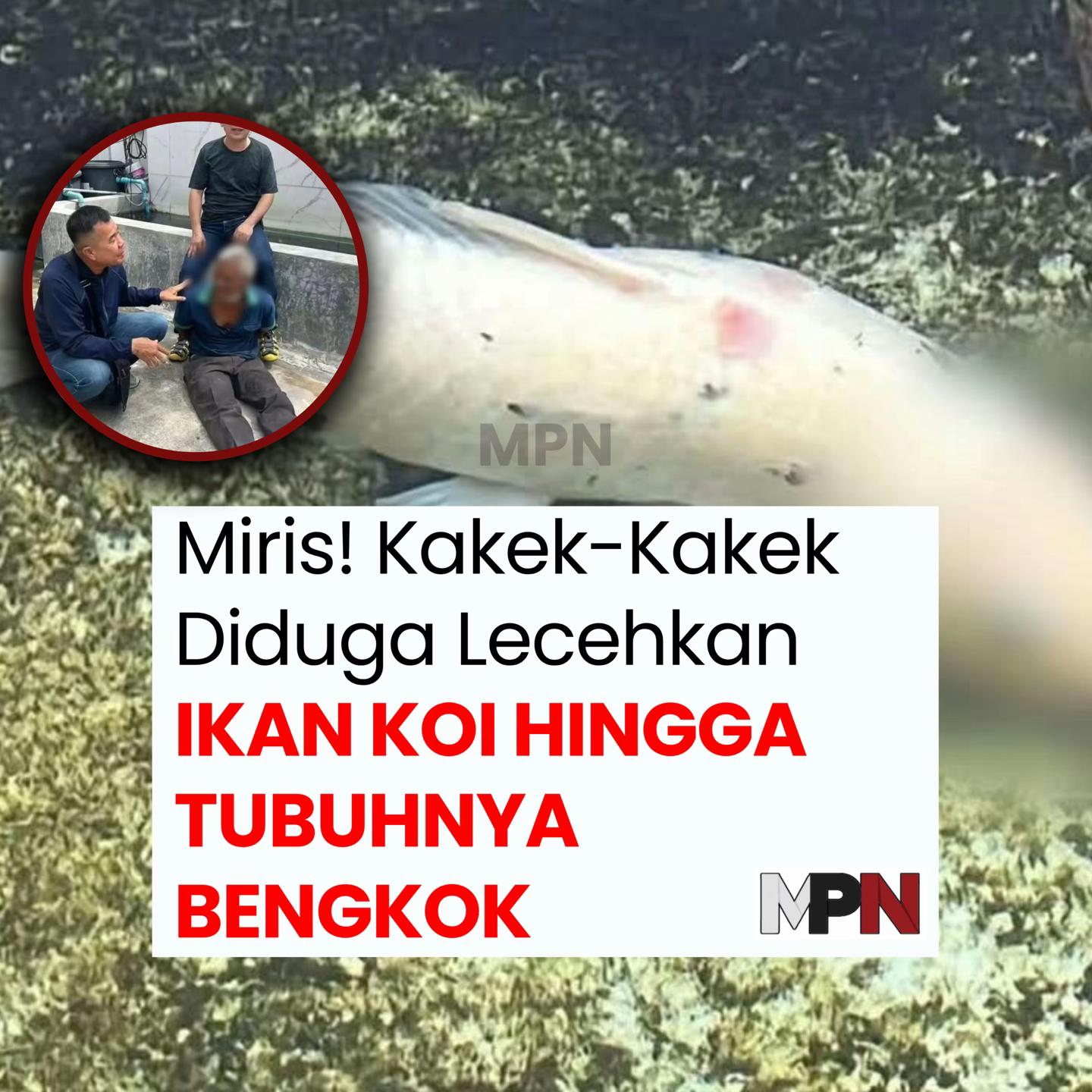 @mpnindonesia