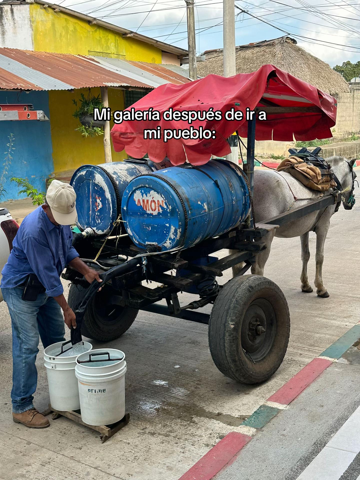 @Paola Arrieta