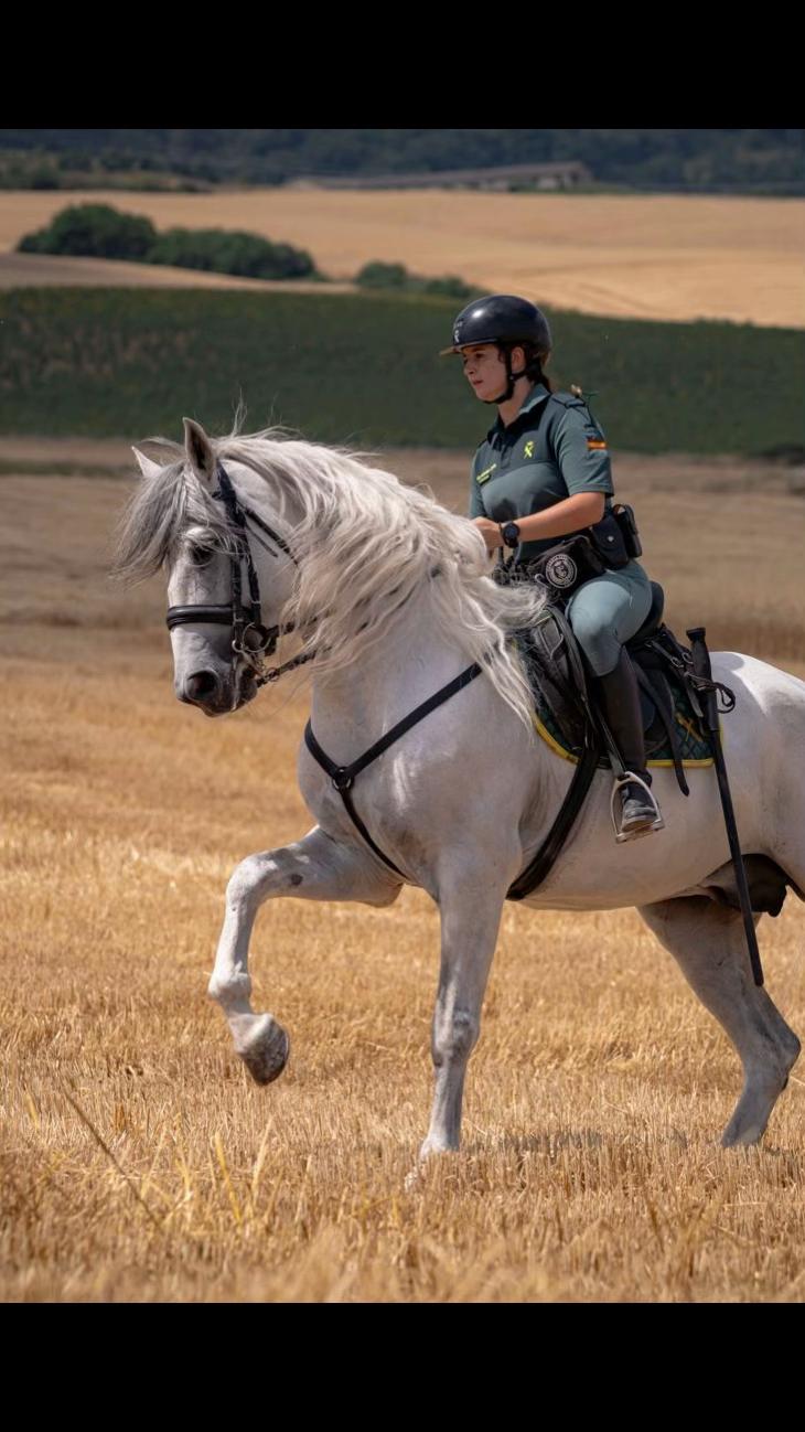 @Guardia Civil Navarra