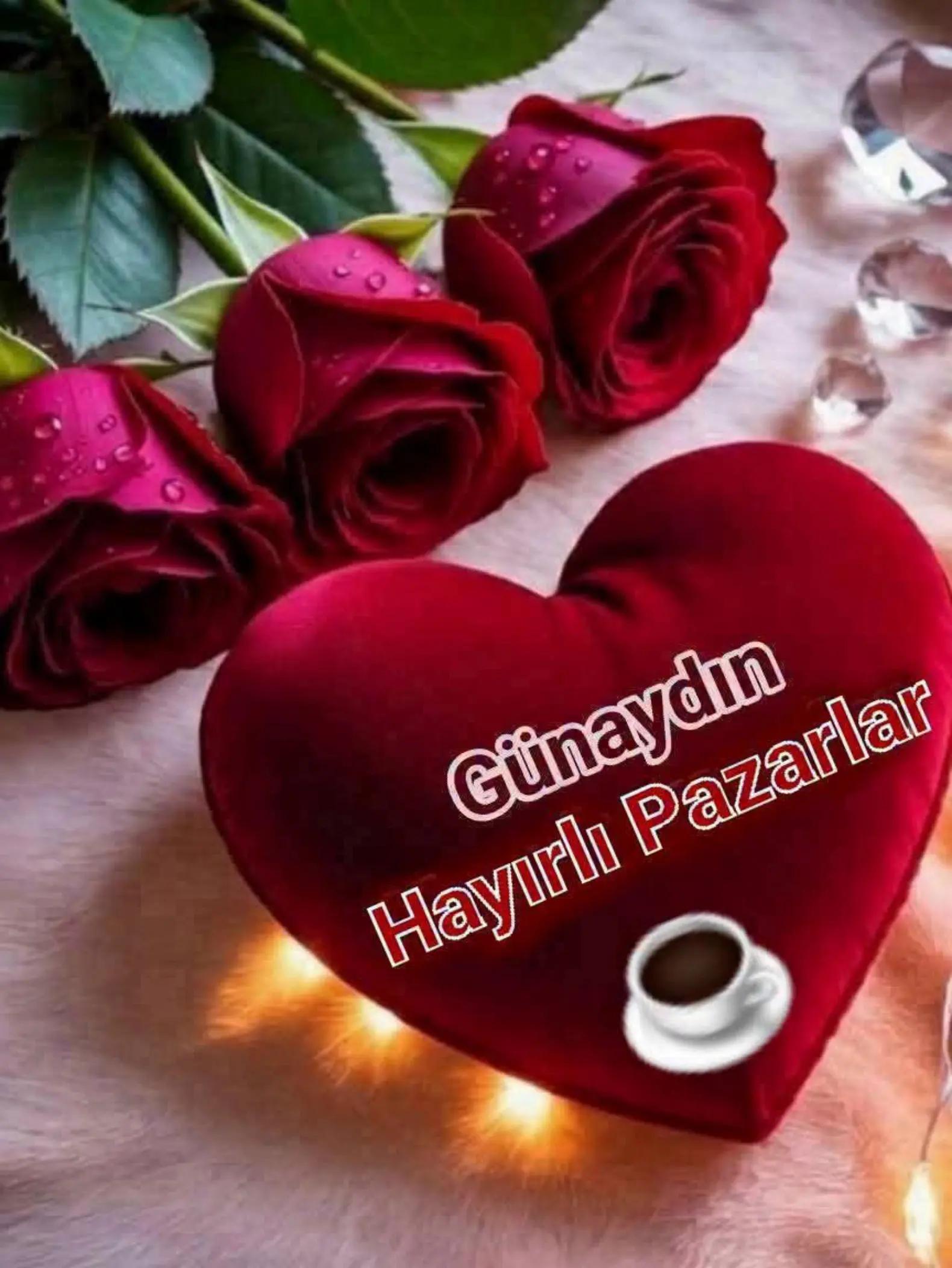@g&uuml;venlik amiri Sami