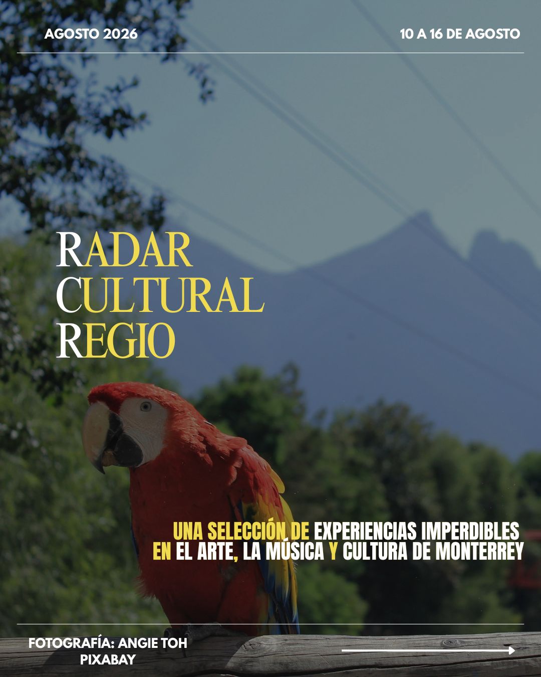 @El Mel&oacute;mano Regio