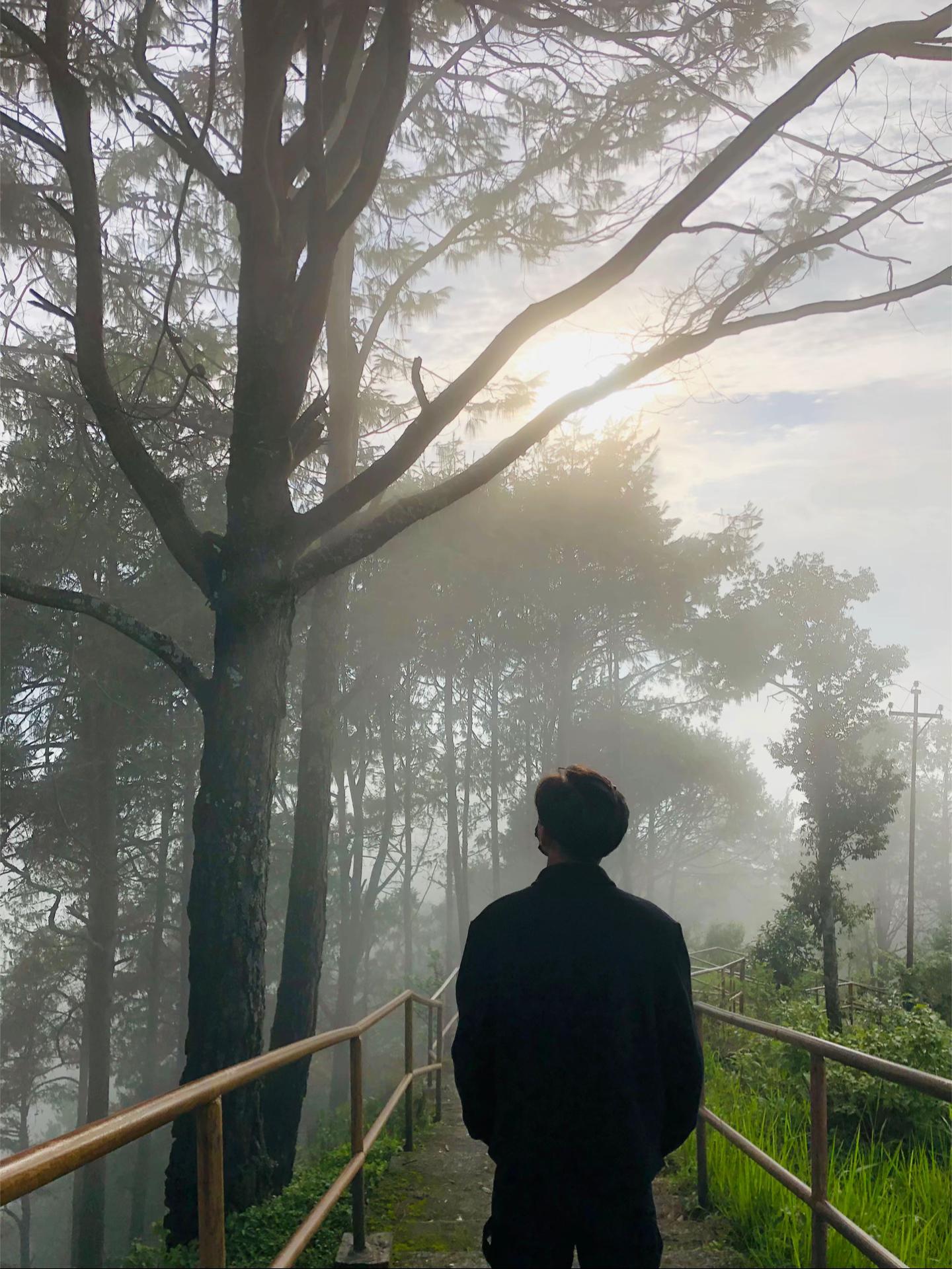 @𝐊𝐲𝐮𝐩𝐢𝐝 𝐋𝐢𝐦𝐛𝐮🌿