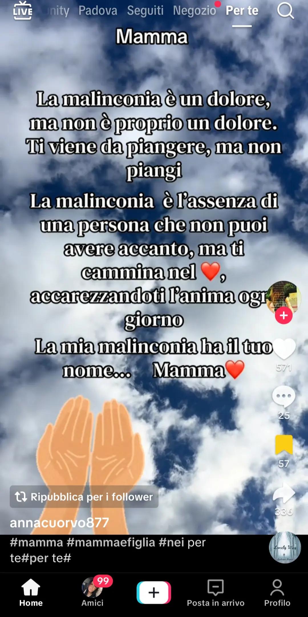 @anna andretta