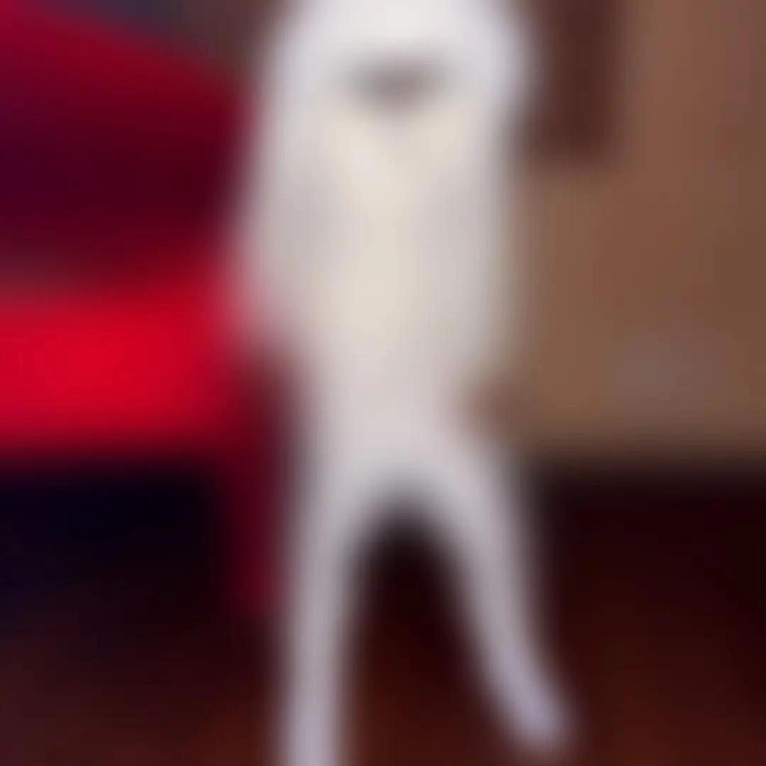 @luvdakash