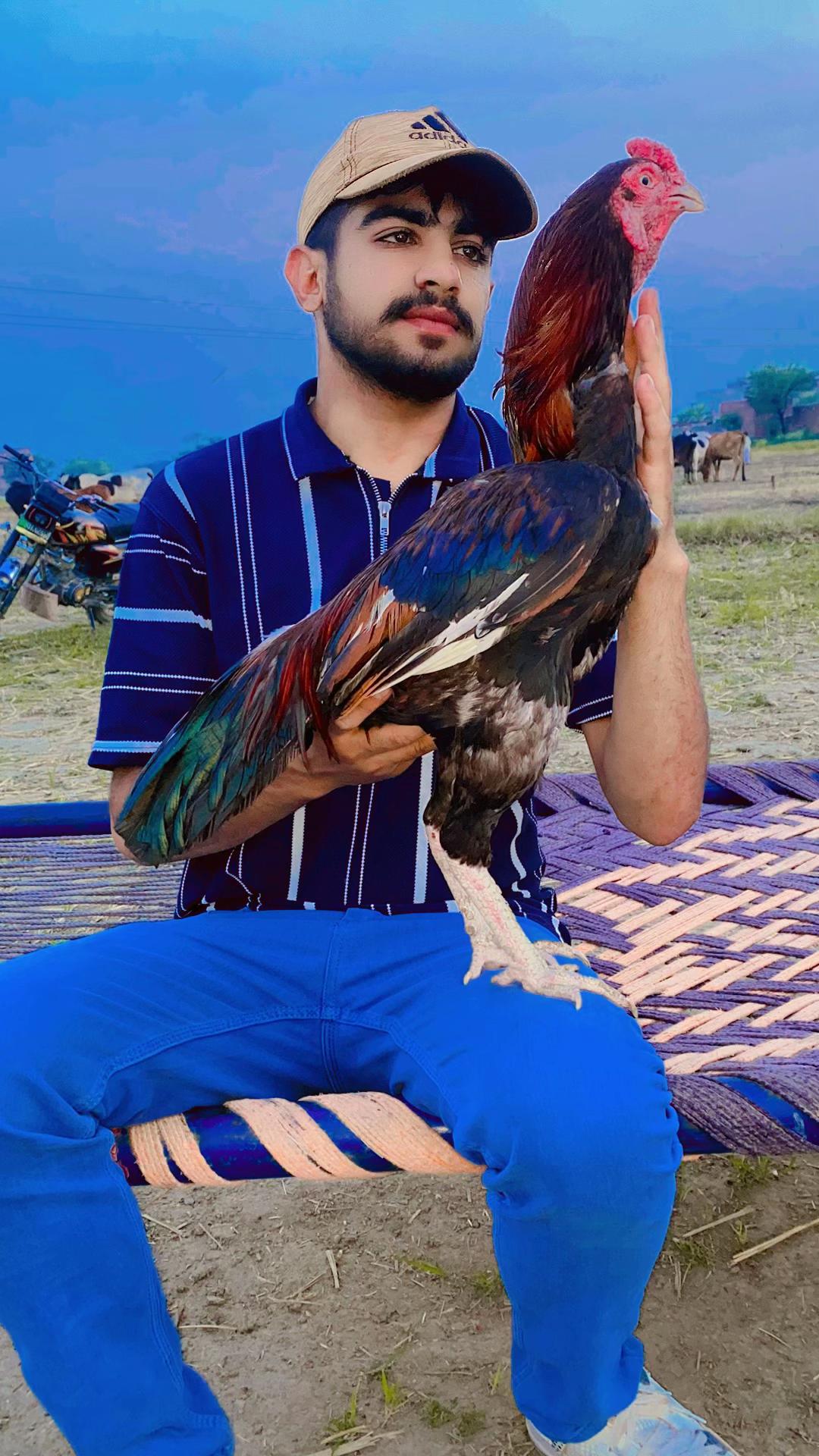 @✰Shazadi✰✨Ka✨☆Hu☆᭄یار✰