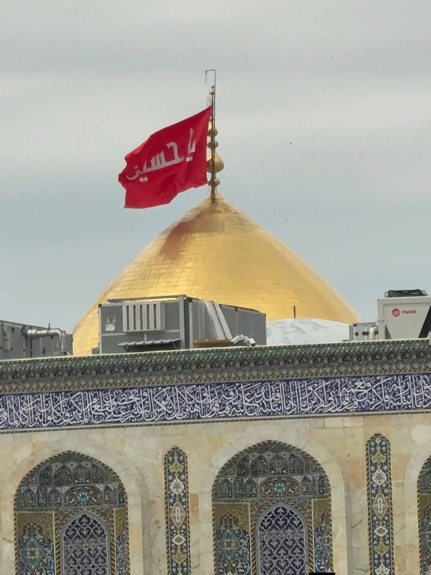 @علامہ ناصر عباس ملتان