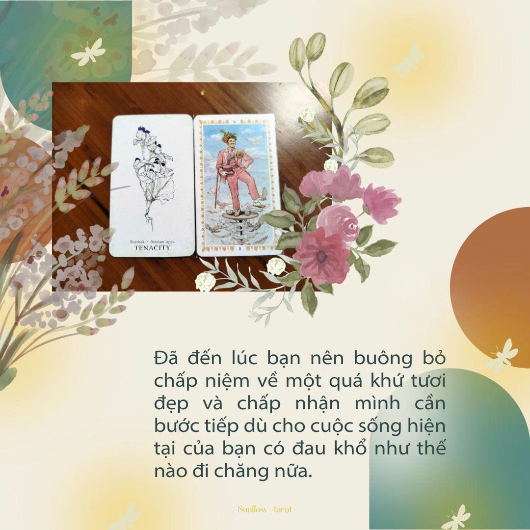 @sunflow_tarot