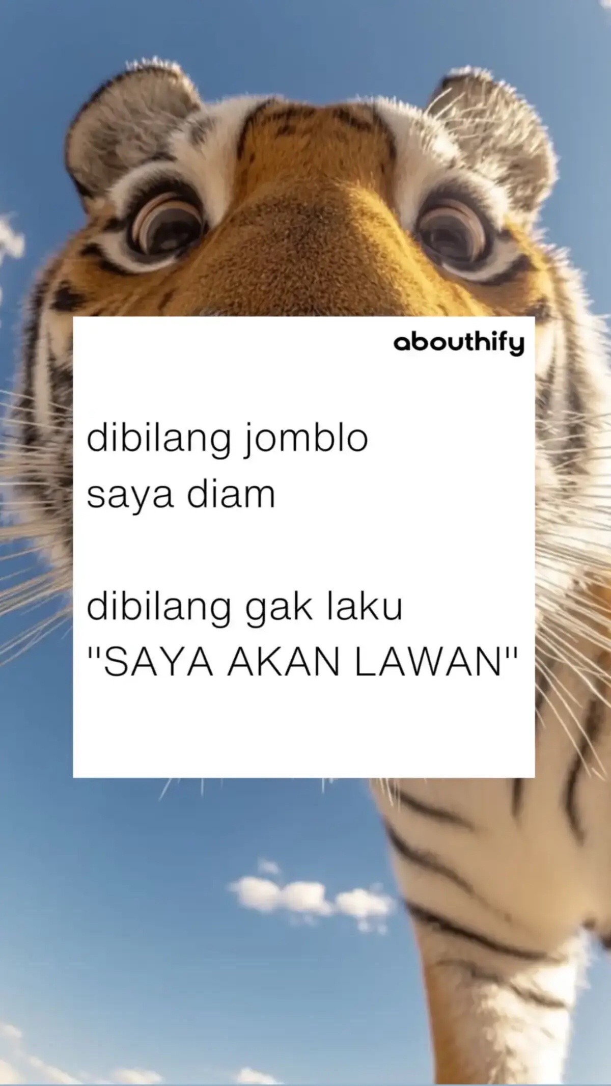 @ㅜ.ㅜ