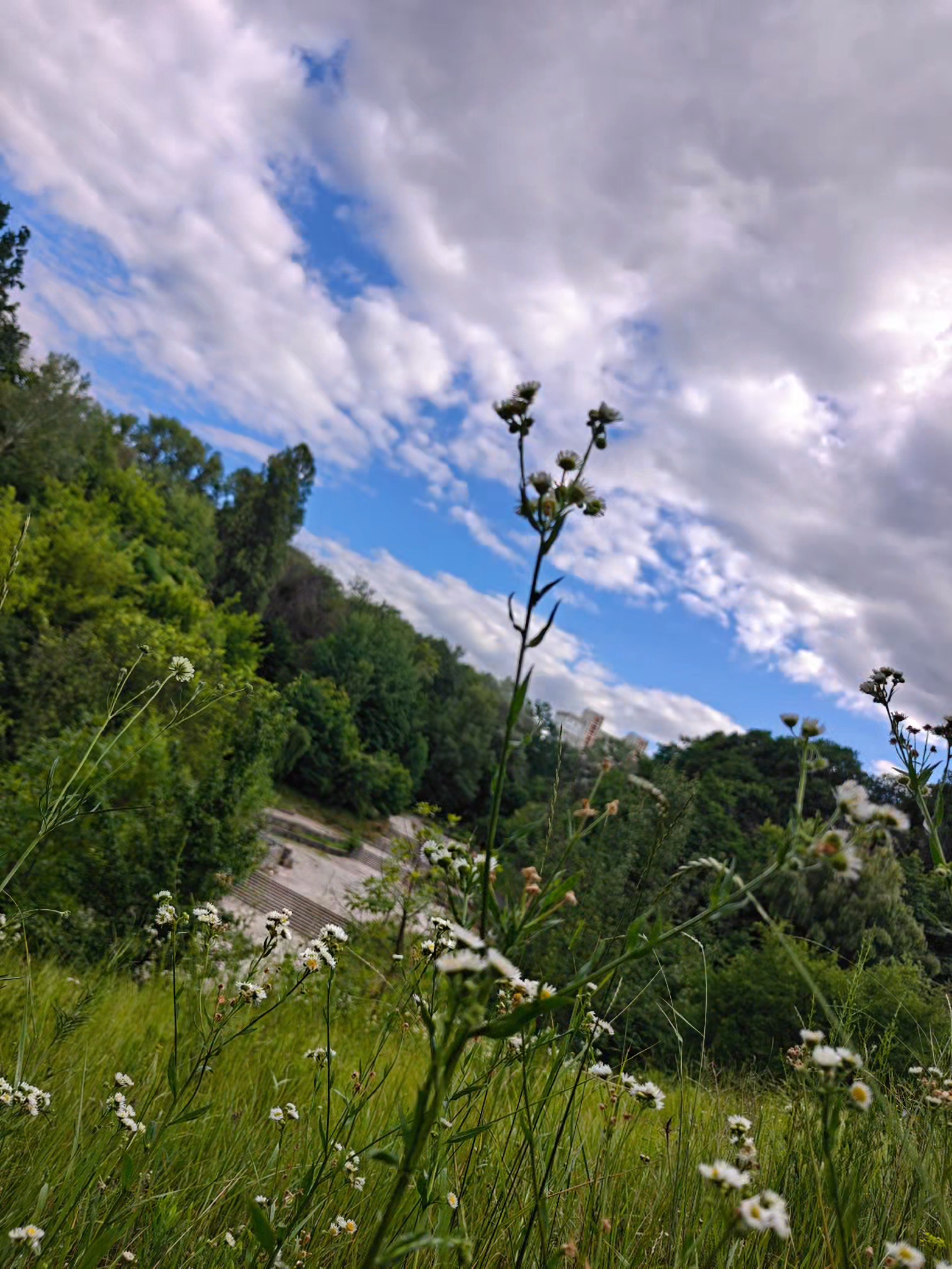 @ℕ𝕒𝕥𝕦𝕣𝕖 𝕝𝕠𝕧𝕖𝕣🌿