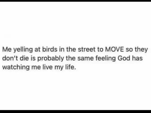 @G🖤🐝