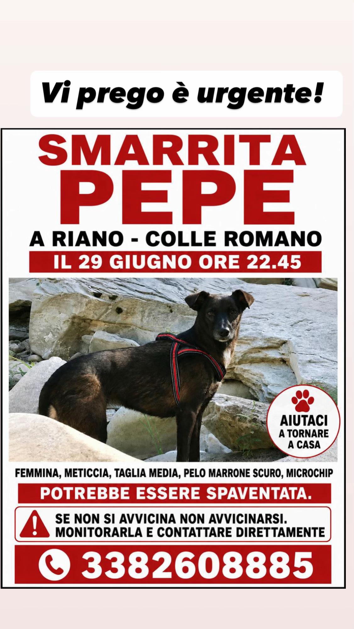 @Francesca Romana Tiberi